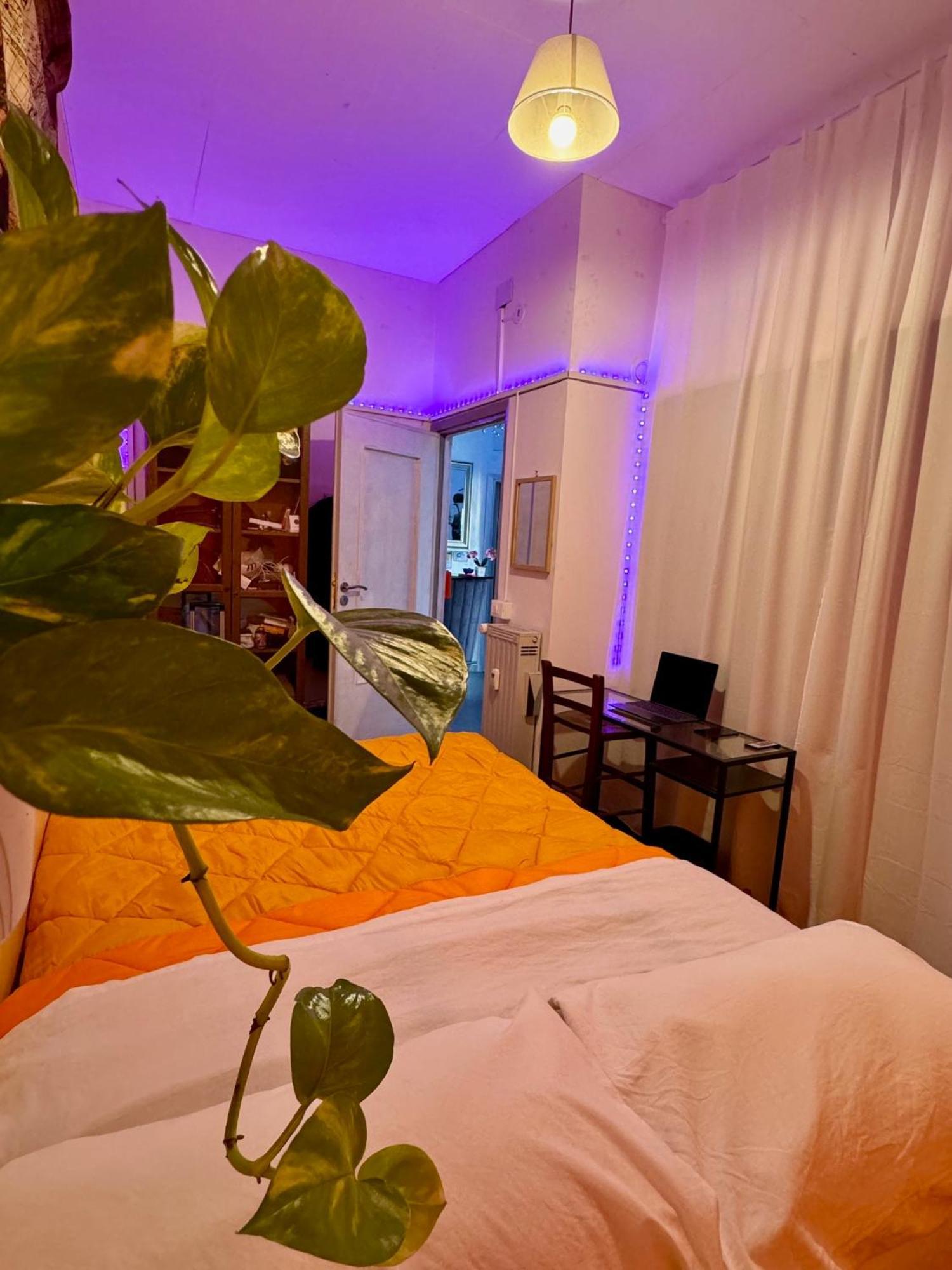 Romoli Rooms And Suites 외부 사진